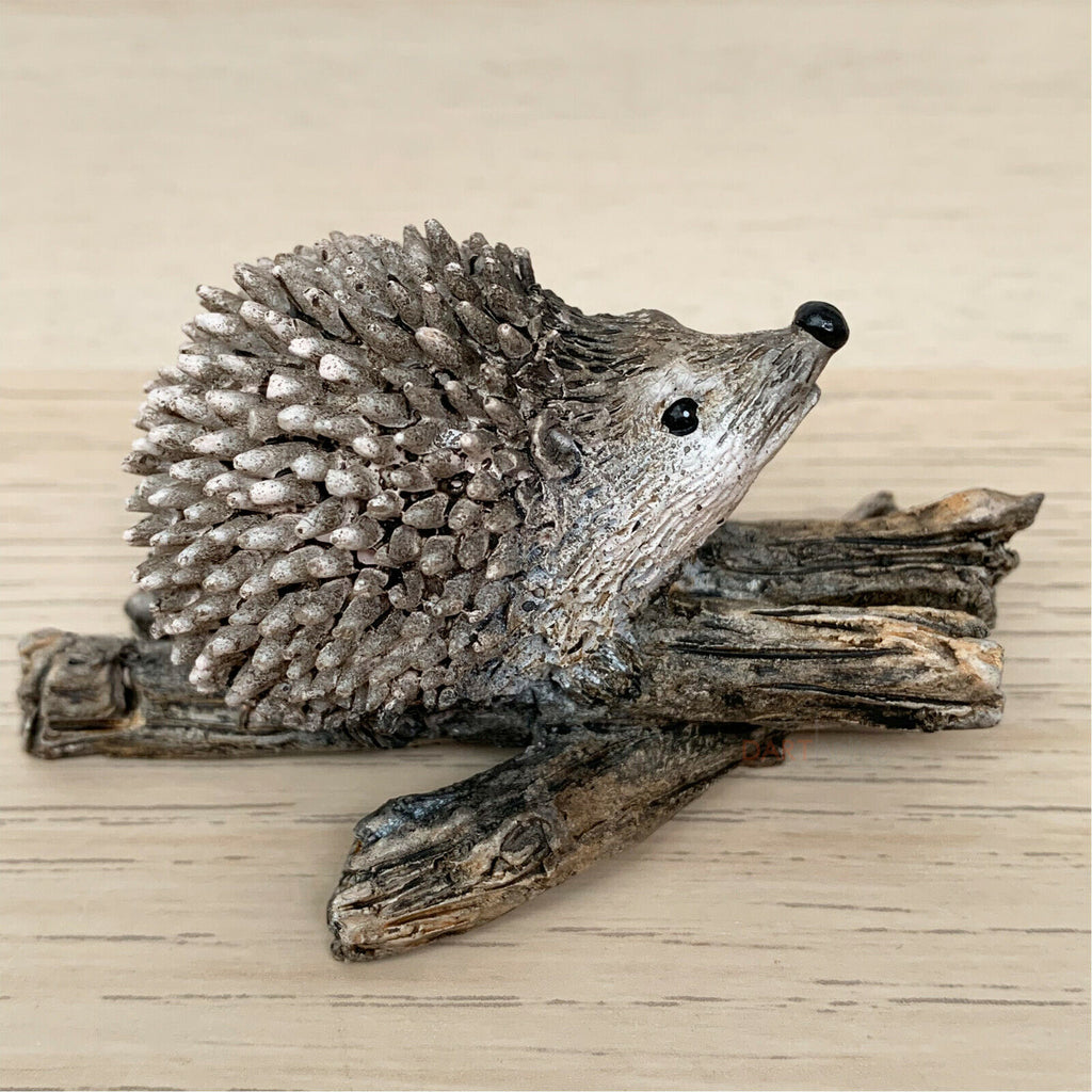 Miniatur-Igelpaar auf einem Ast