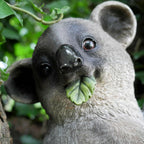 Koala auf Zweigskulptur