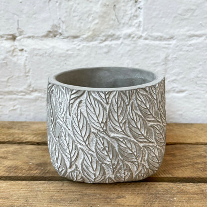 Square Cement Embossed Leaf Pot