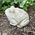Stone Baby Bullfrog Garden Sculpture