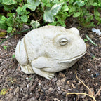 Stone Baby Bullfrog Garden Sculpture