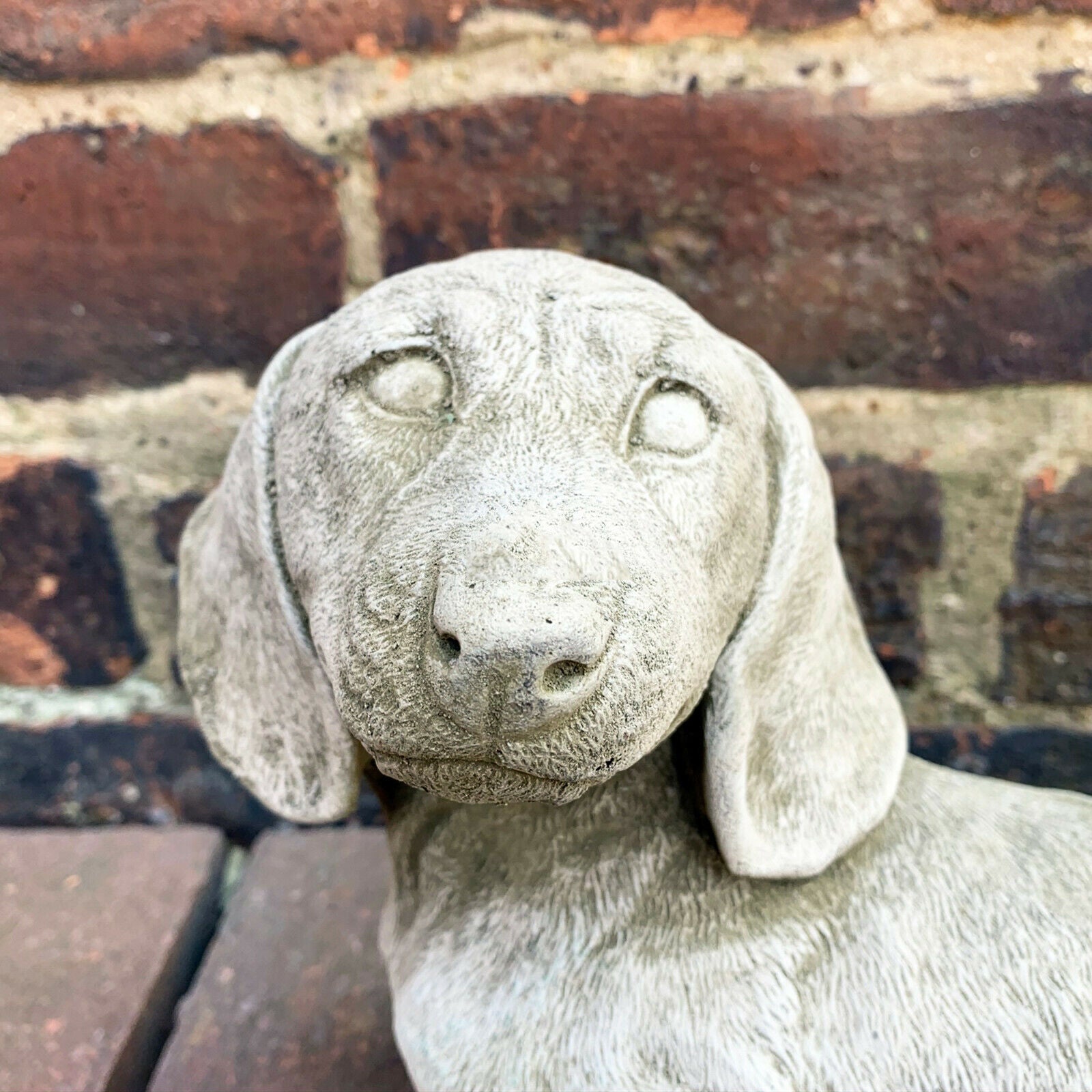 Steinstatue Daschund-Hund für den Garten, 5 kg