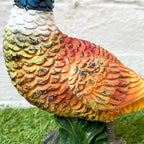 Colourful Perched Pheasant Ornament