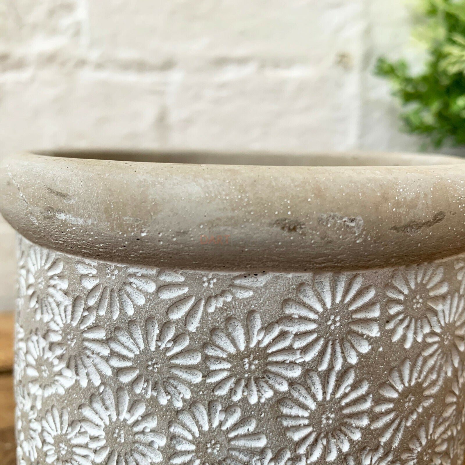 Daisies Cement Plant Pot Holder