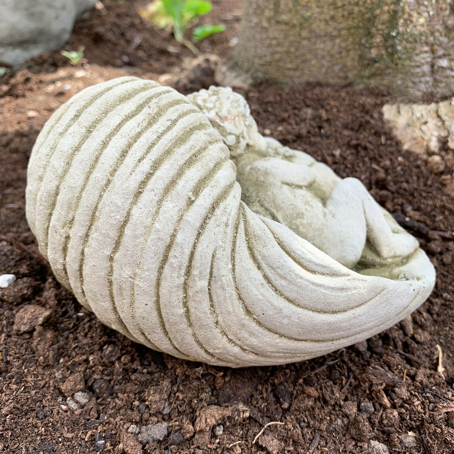 Stone Cherub In Shell Garden Sculpture