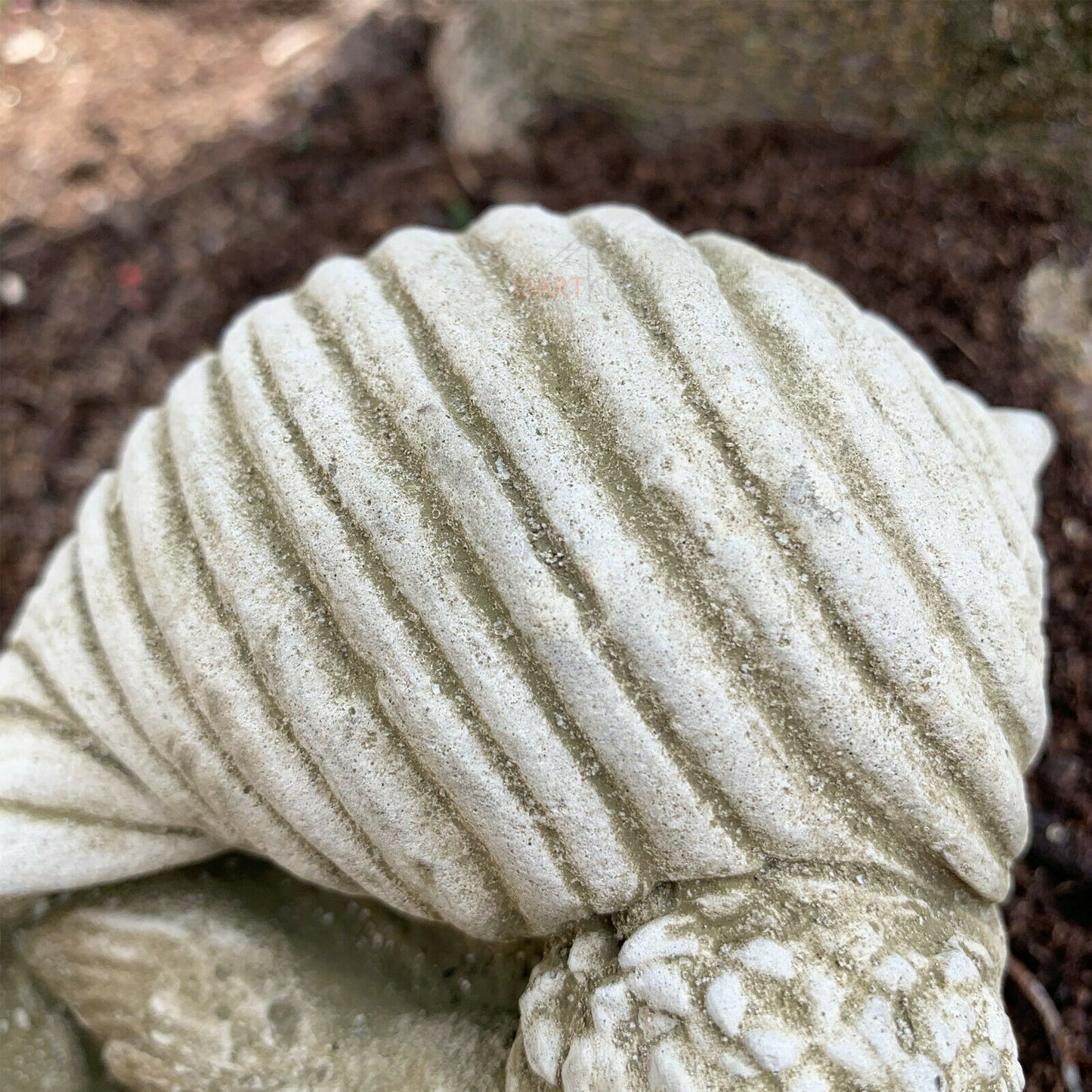 Stone Cherub In Shell Garden Sculpture