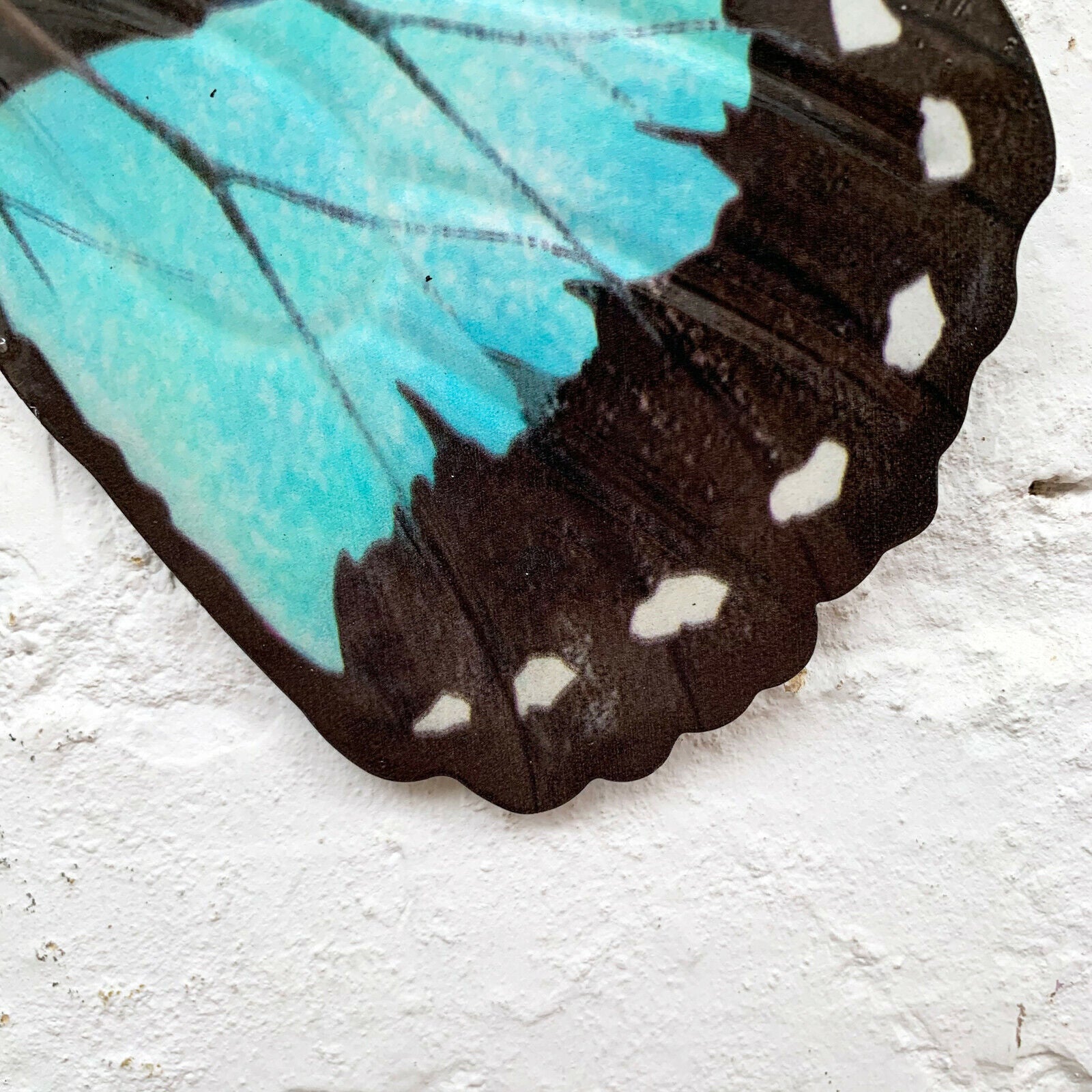 Cyan Blue And Black Butterfly Wall Art
