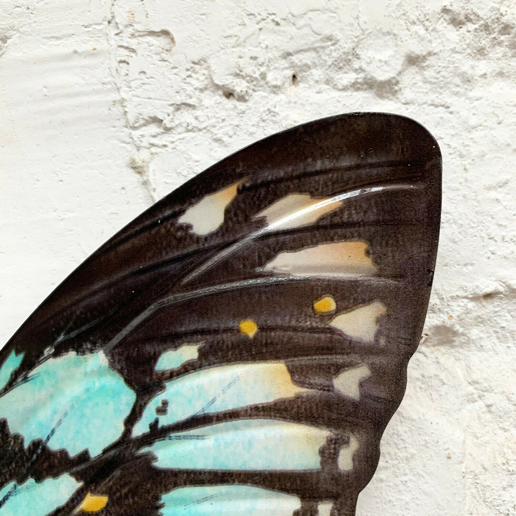 Cyan Blue And Black Butterfly Wall Art