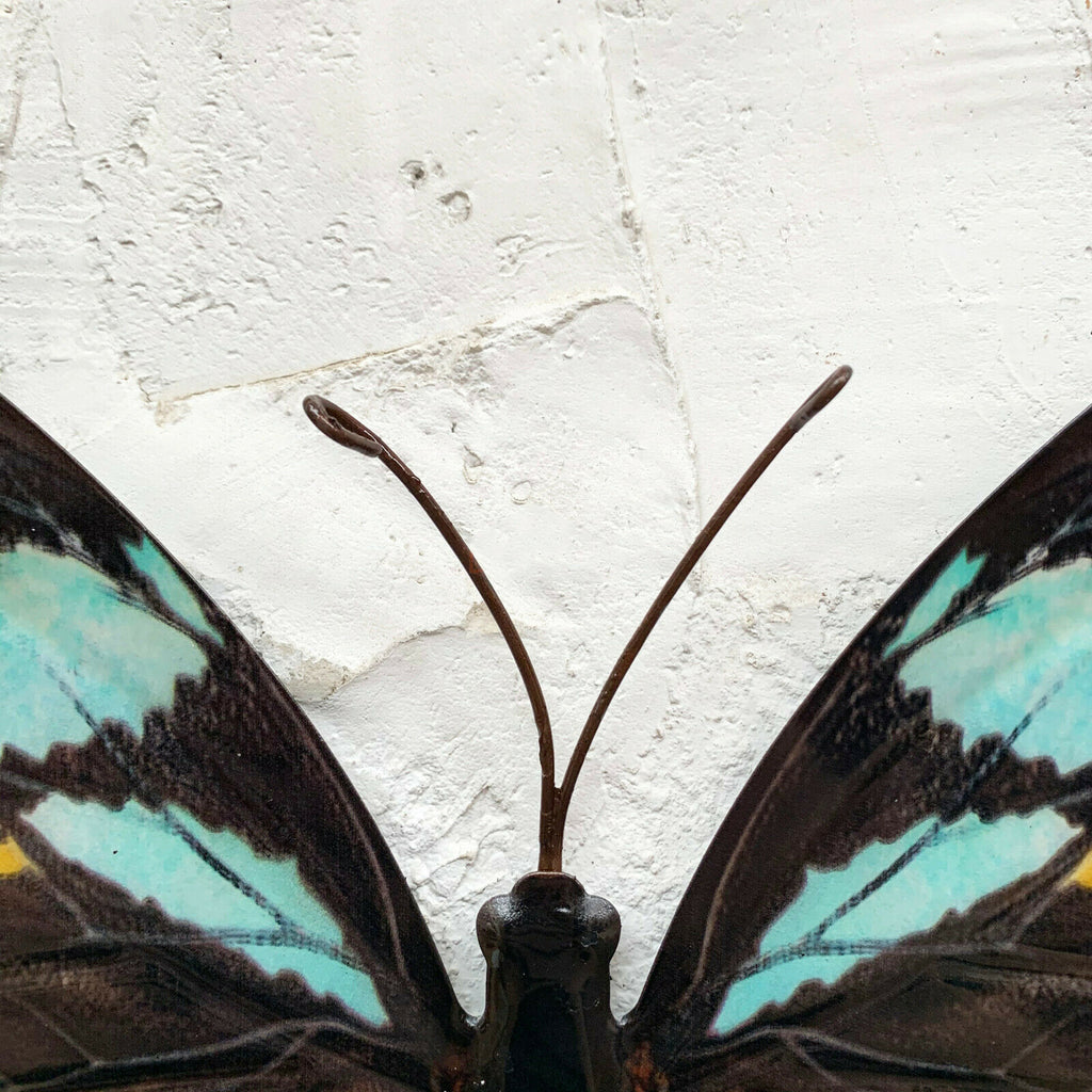 Cyan Blue And Black Butterfly Wall Art