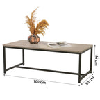 Couchtisch aus Holz und Metall, 100 x 36 cm