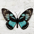 Cyan Blue And Black Butterfly Wall Art