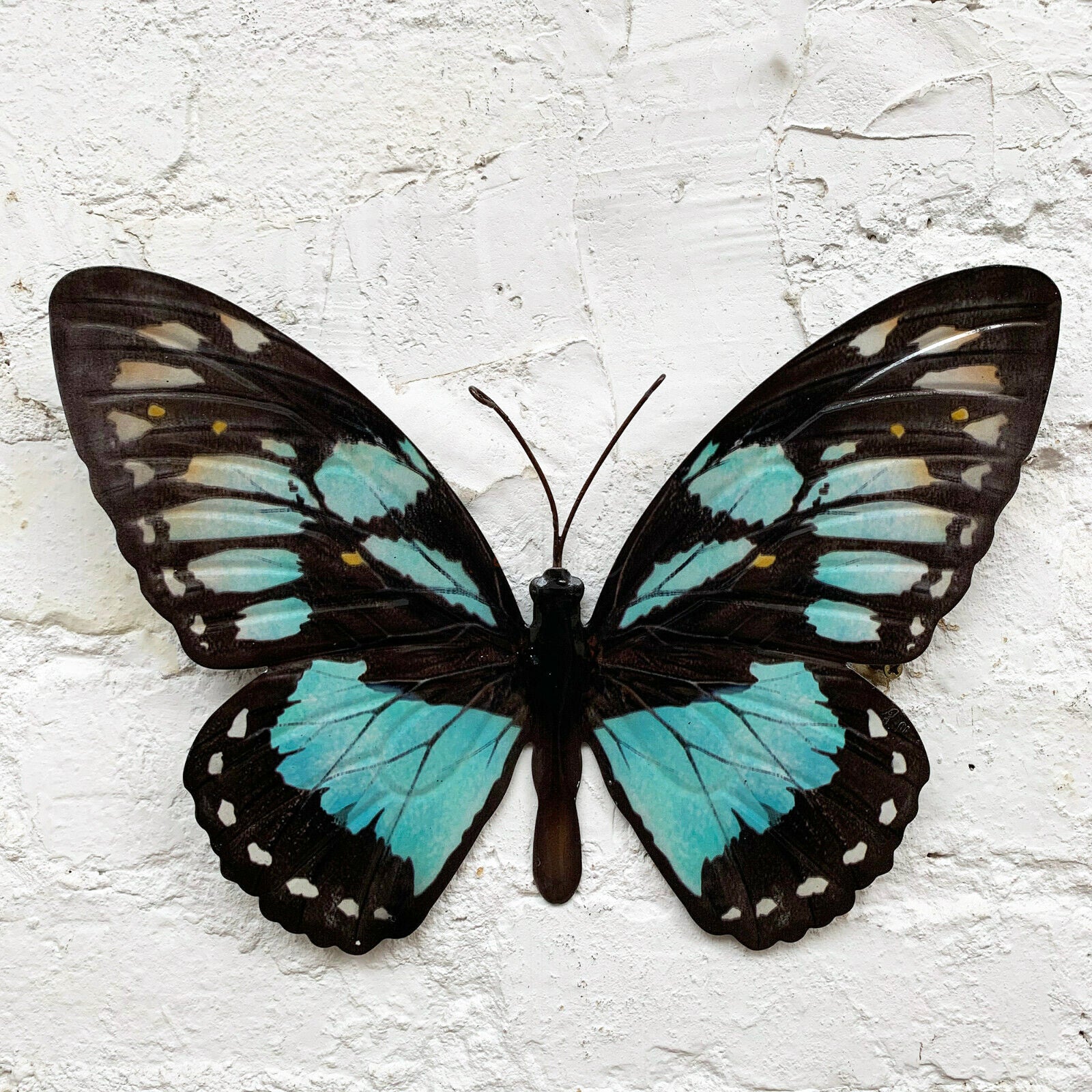 Cyan Blue And Black Butterfly Wall Art