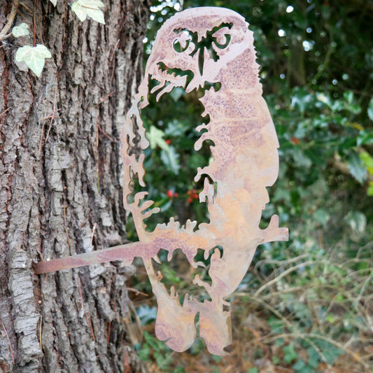 Barn Owl Tree Spike