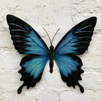 Blaue und schwarze Schmetterlings-Wandkunst aus Metall