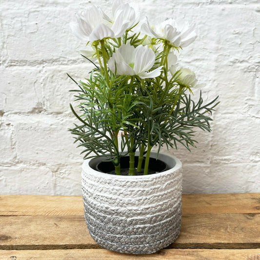 Grey Round Cement Rope Pot