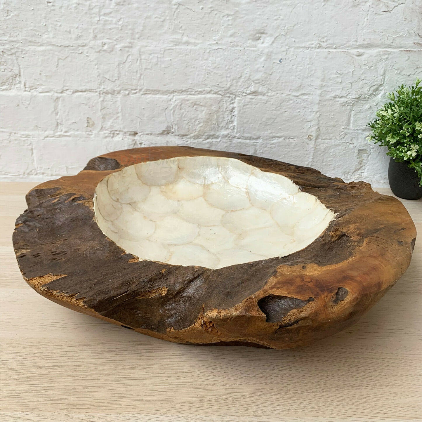 Teak Root Pearl Wood Decorative Fruit Bowl 50cm