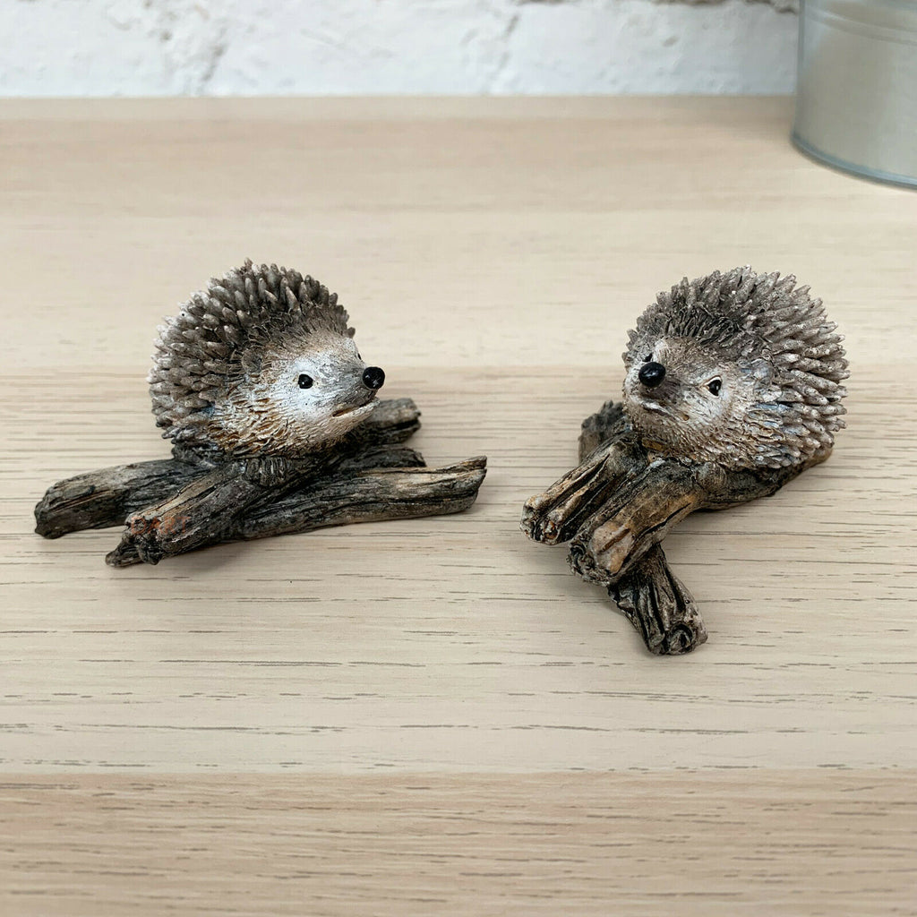 Miniatur-Igelpaar auf einem Ast