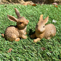 Set Of 2 Mini Daisy And Dellilah Rabbit Figurines