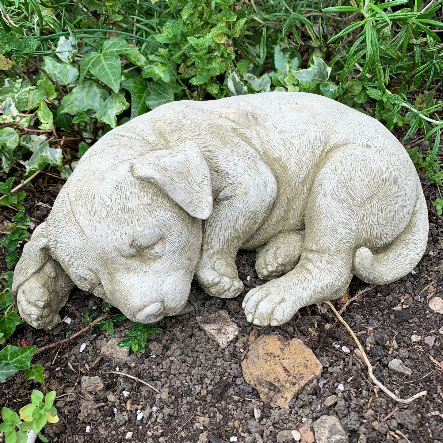 Große steingraue schlafende Hündchen-Gartenstatue, 6 kg