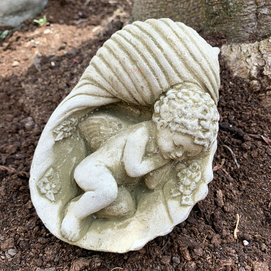 Stone Cherub In Shell Garden Sculpture