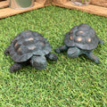 Set of 2 Resin Tortoise Ornaments