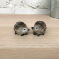 Set of 2 Country Miniature Hedgehogs