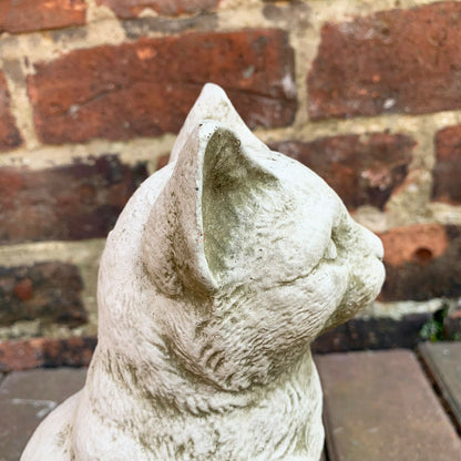 Stone Serene Cat Garden Sculpture 4kg