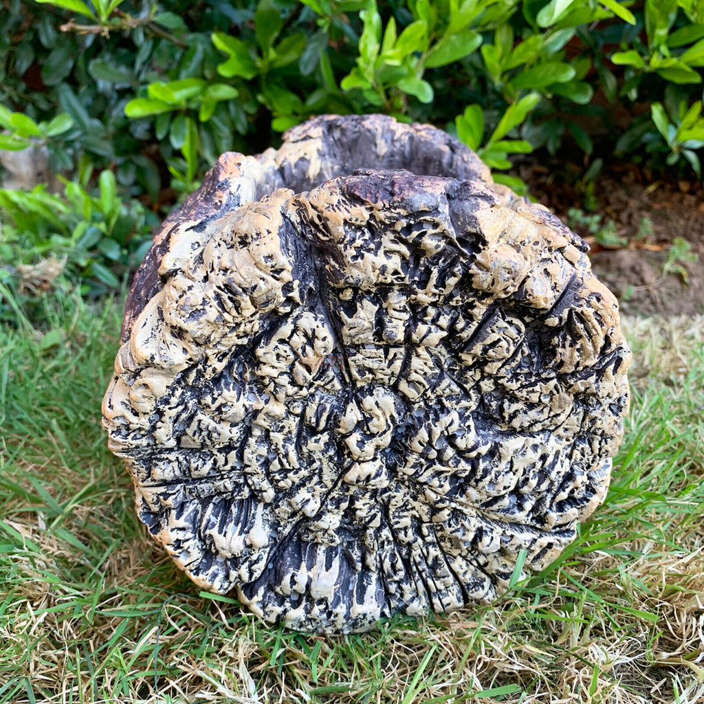 Cement Tree Log Owl Planter