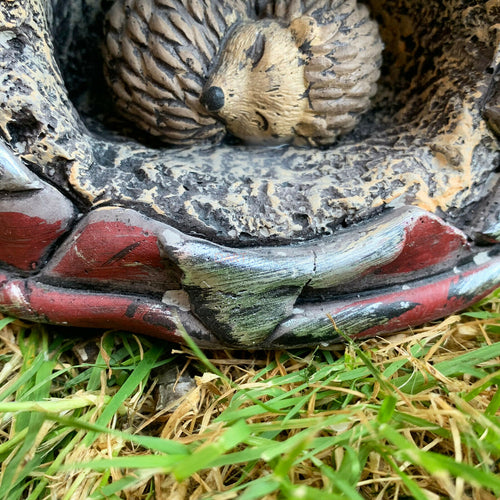 Zementroter Krug-Igel-Übertopf