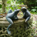 Set Of 2 Bronze Climbing Frogs