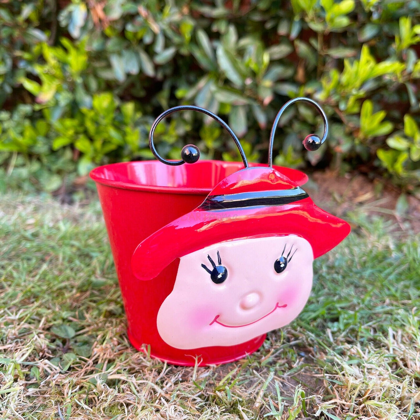 Red Wobble Head Ladybird Plant Pots