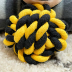 Hummel-Seilball-Kauspielzeug für Hunde