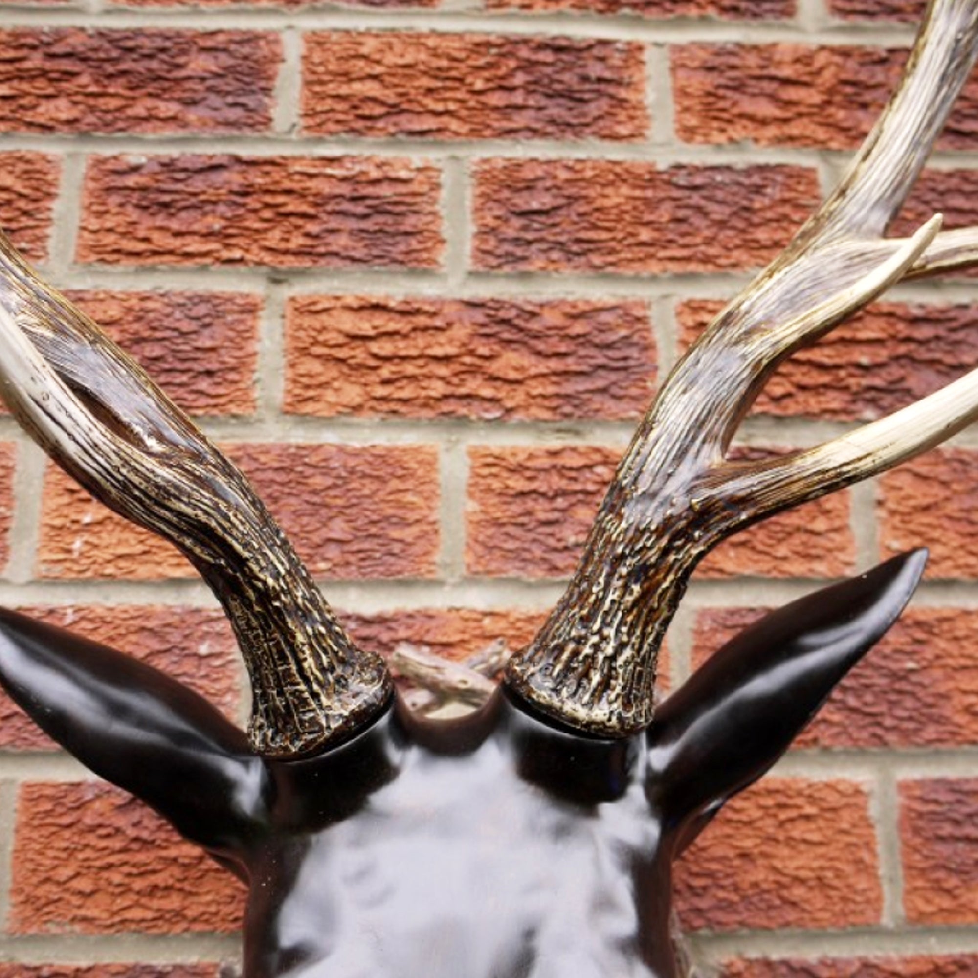 Extra Large Glossy Black Stags Wall Head