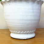 White Cement Indoor Plant Pot