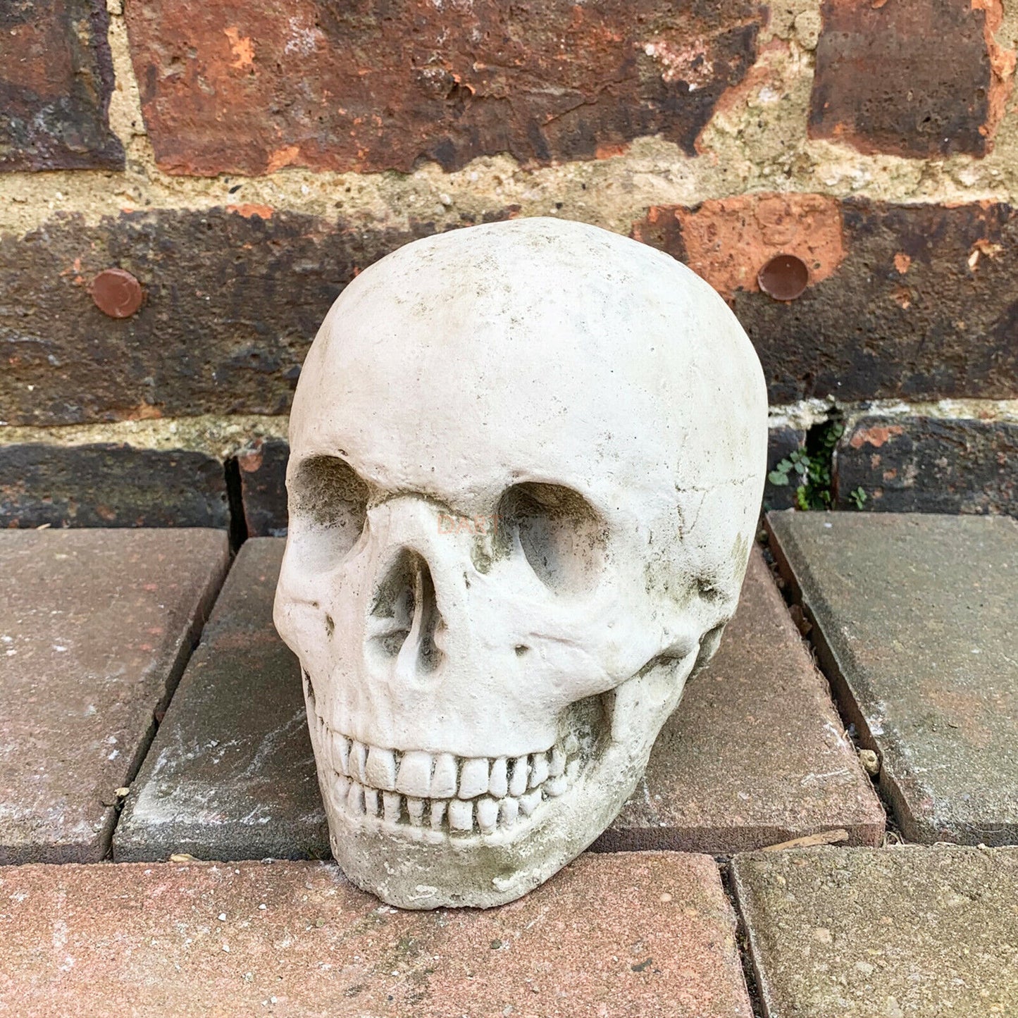 Stone Human Skull Sculpture