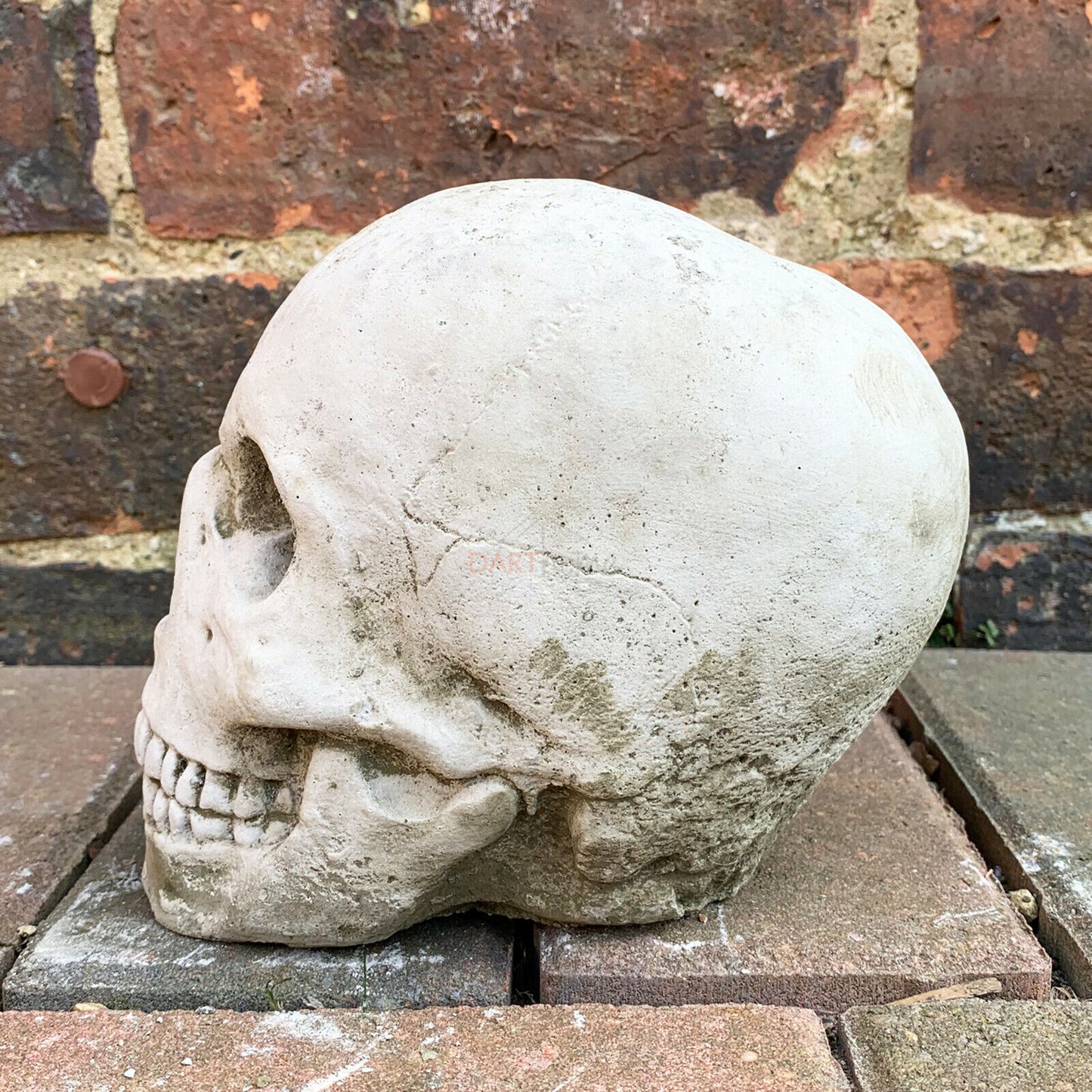 Stone Human Skull Sculpture