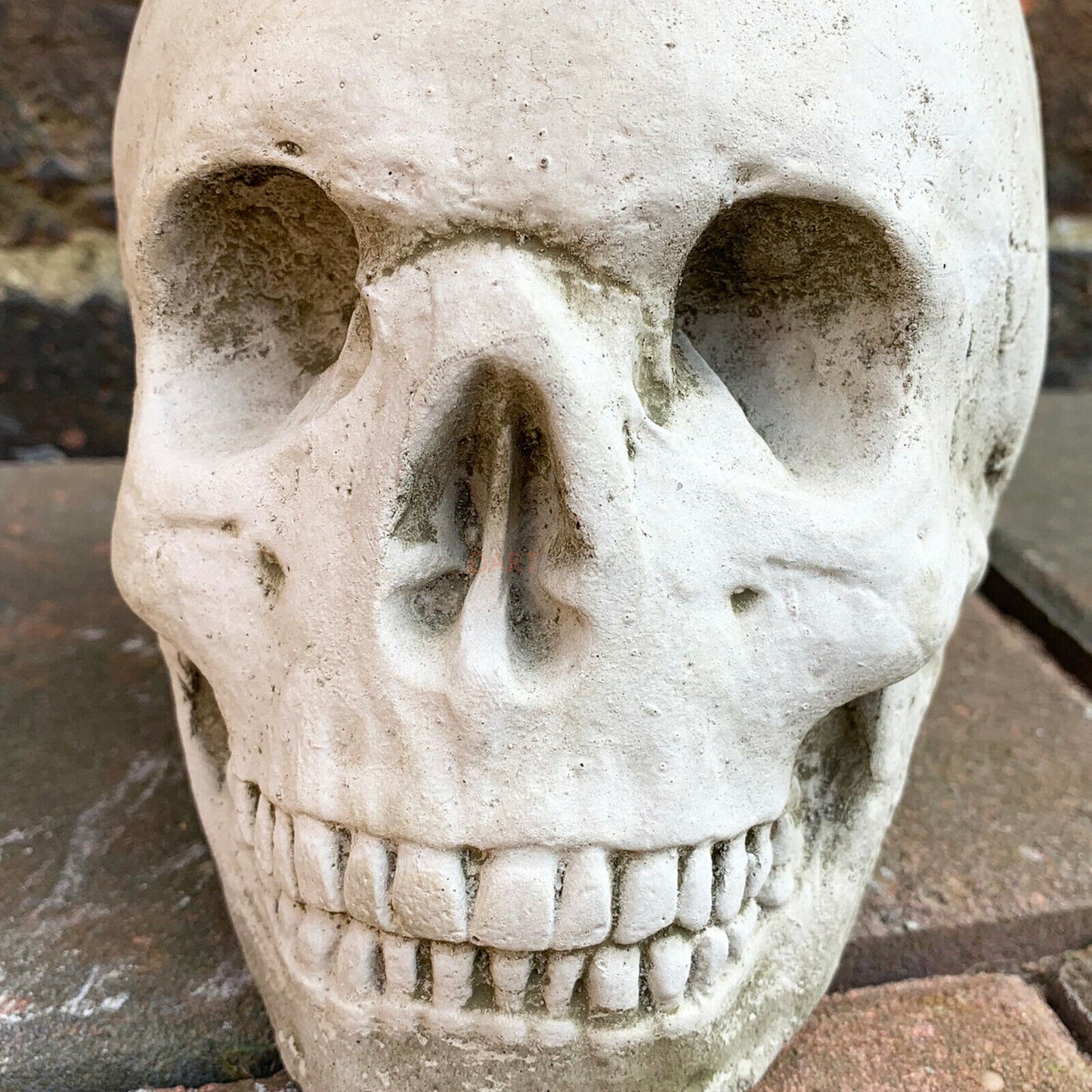 Stone Human Skull Sculpture