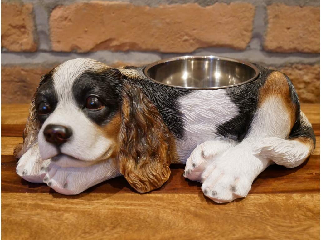 Cocker Spaniel Hundenapf