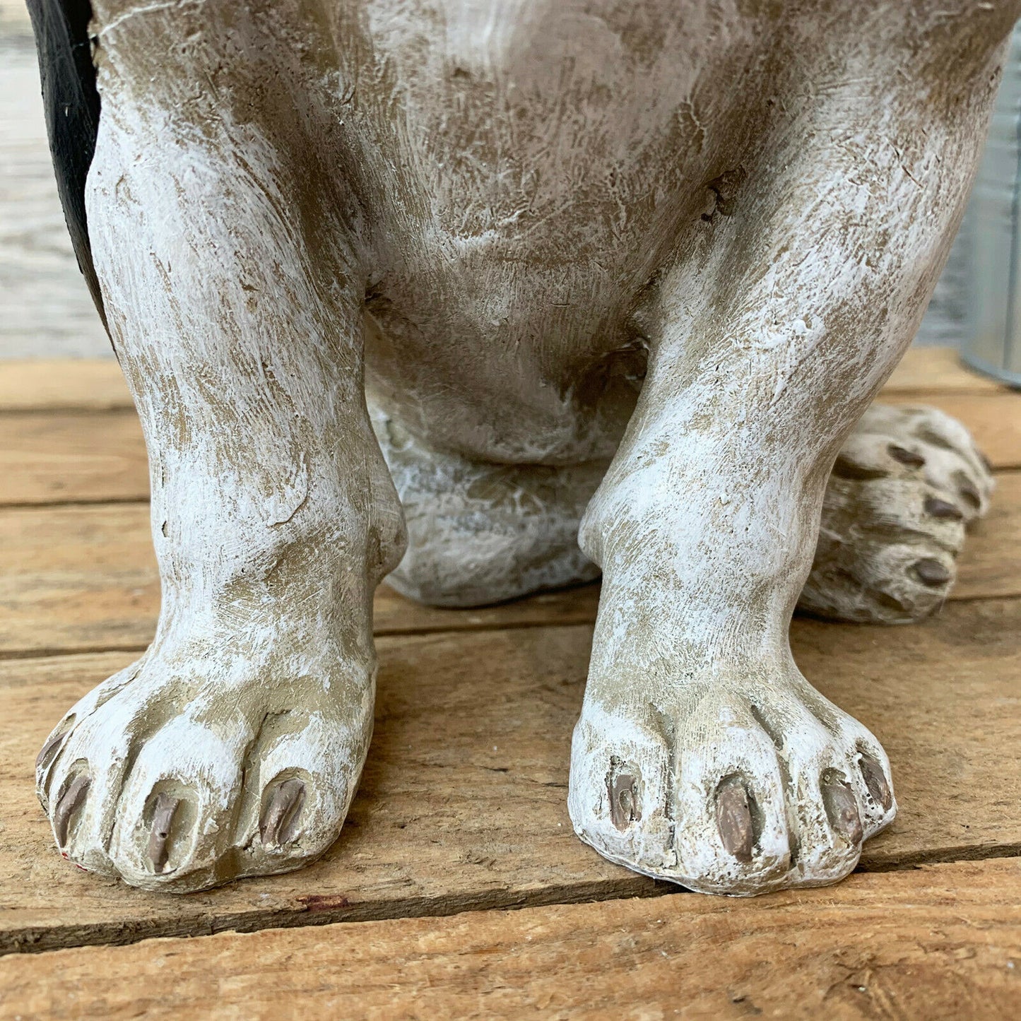 Sitzende französische Bulldogge