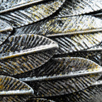 Silver Angel Wings Wall Art