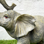 Grey African Elephant Garden Sculpture