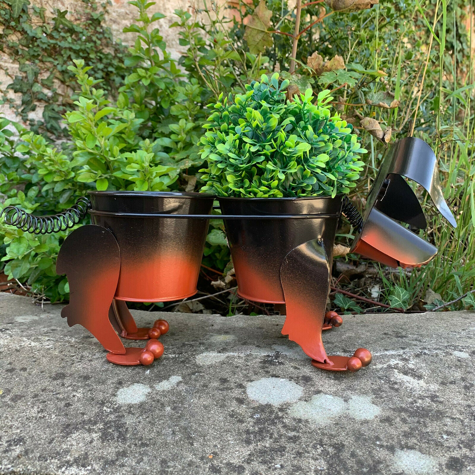 Boggly Sausage Dog Pflanzgefäß aus Metall