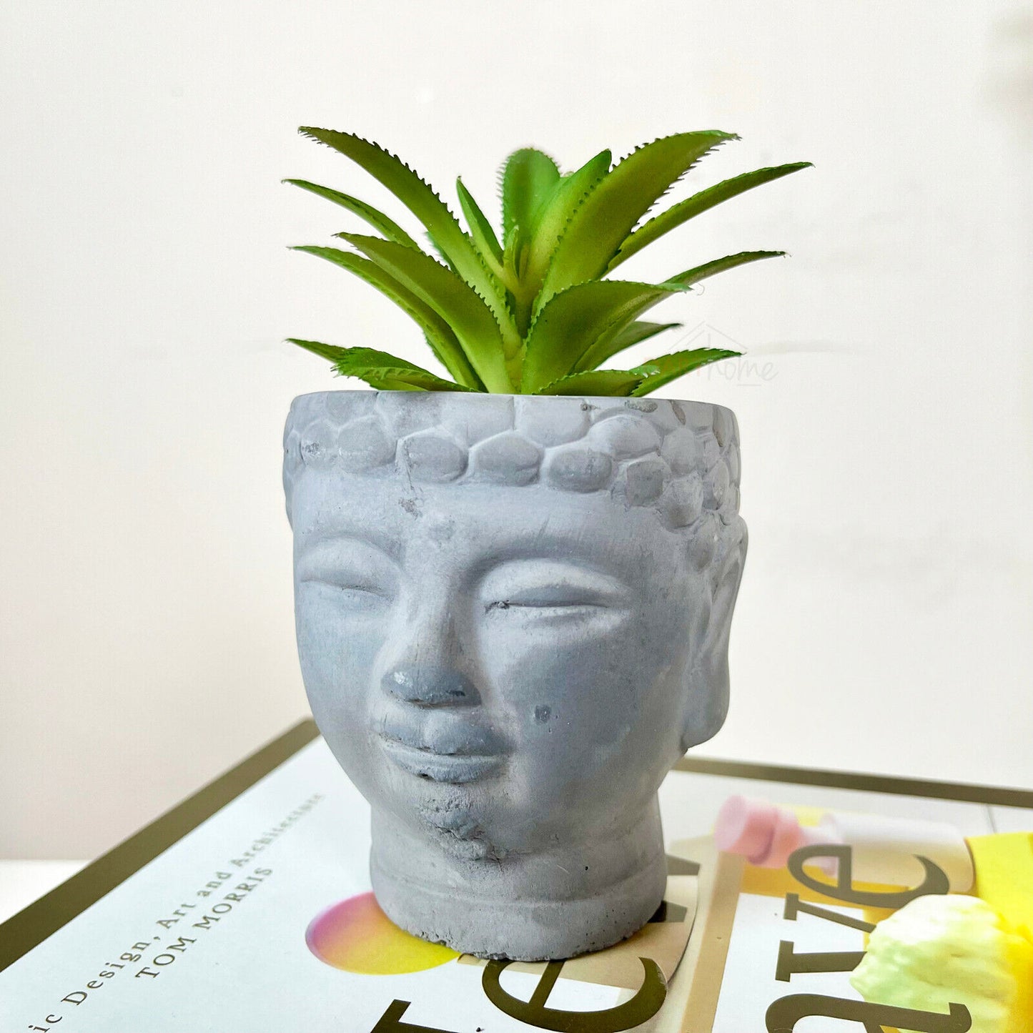 Cement Buddha Head Succulent