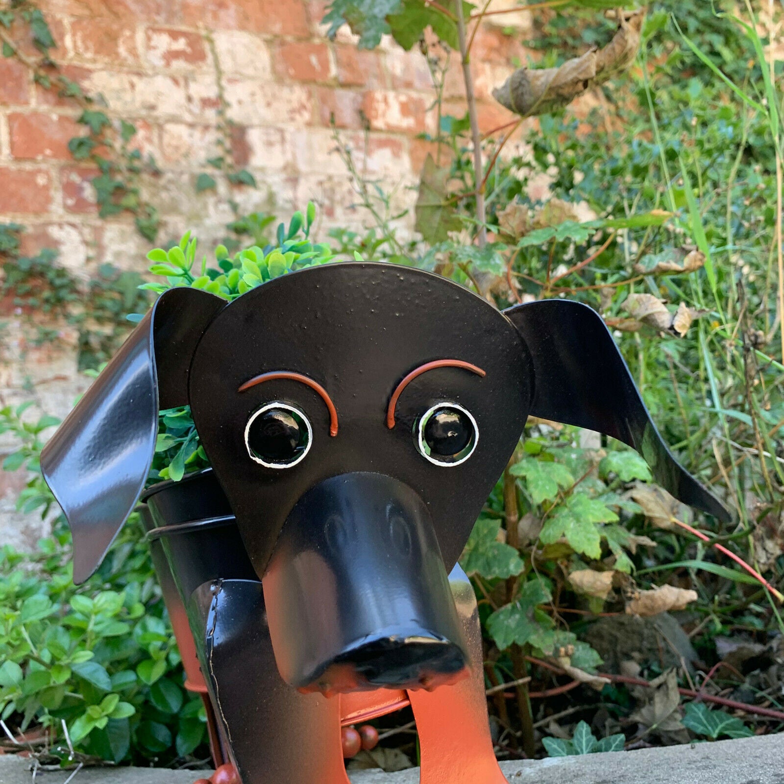 Boggly Sausage Dog Pflanzgefäß aus Metall