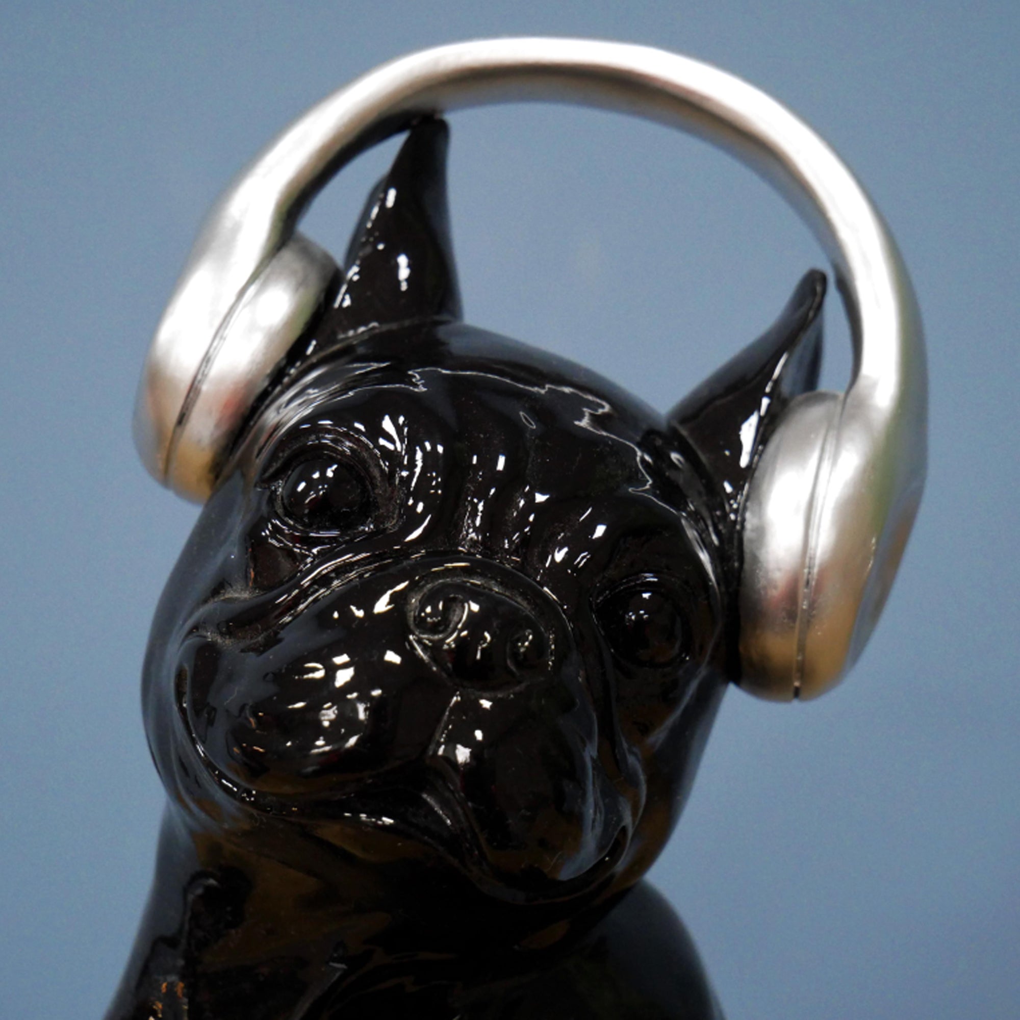 Glänzende schwarze französische Bulldogge mit Kopfhörern