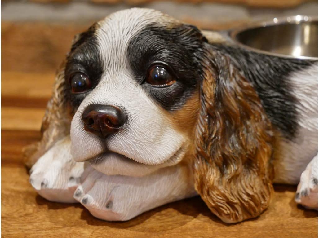 Cocker spaniel clearance dog bowl