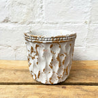 Cement Wave Plant Pot