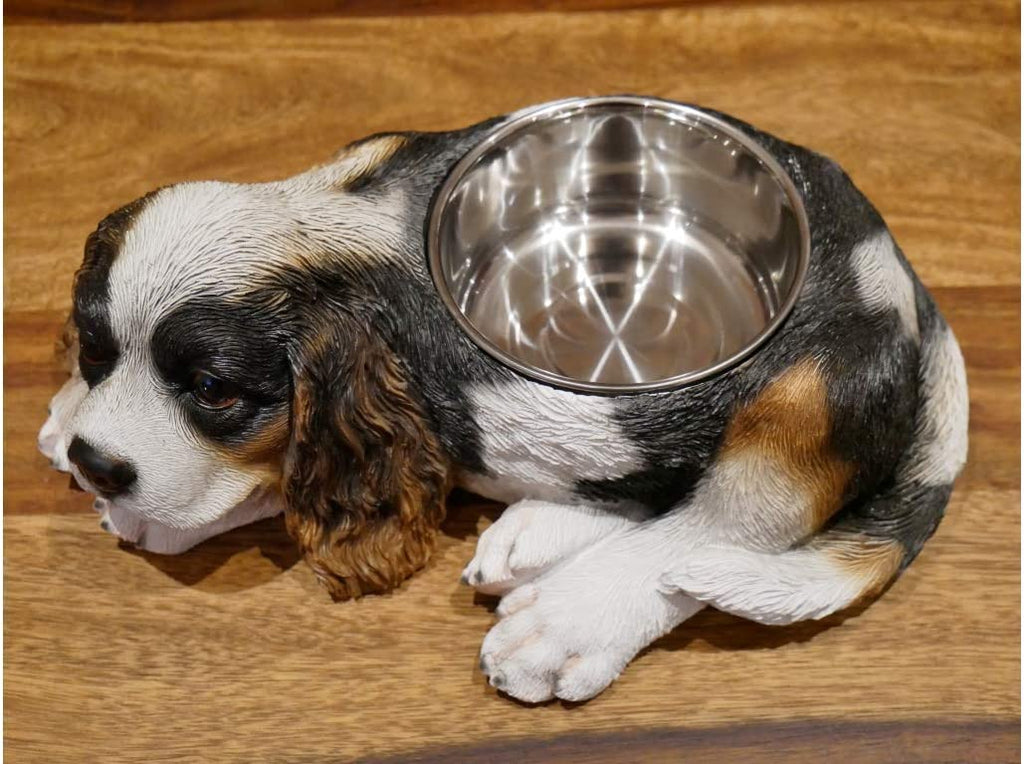 Cocker Spaniel Hundenapf