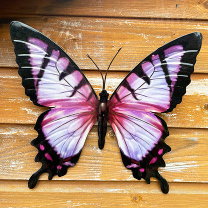 Pink Butterfly Wall Art