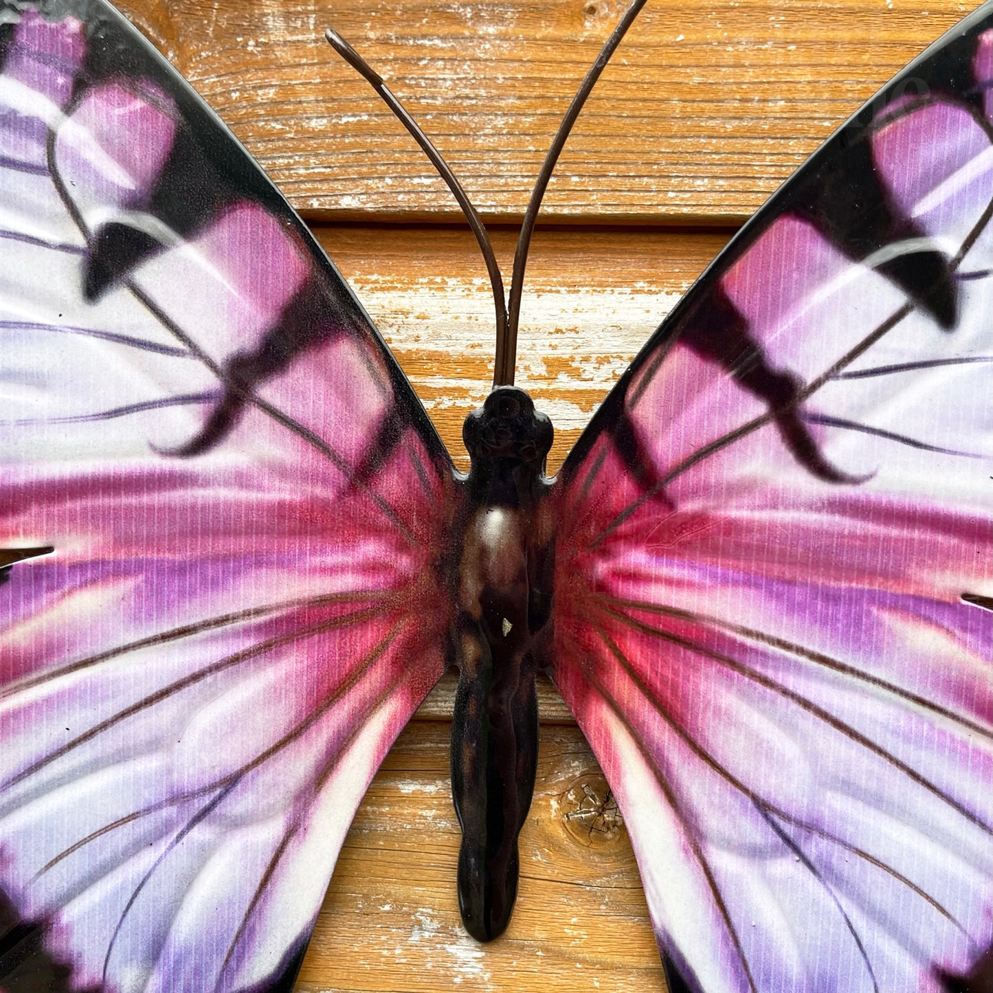 Pink Butterfly Wall Art